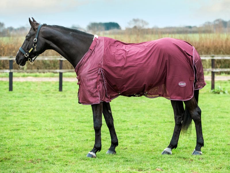 Swish Mesh Fly Rug - Burgundy