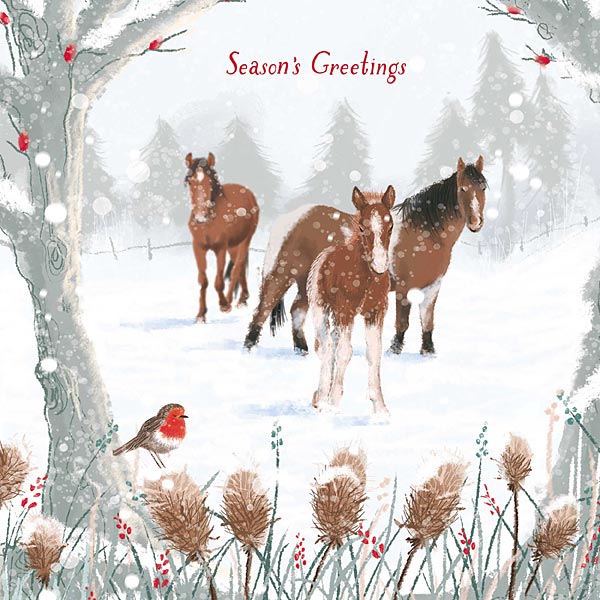 Christmas Cards- Winter Friends 10pk