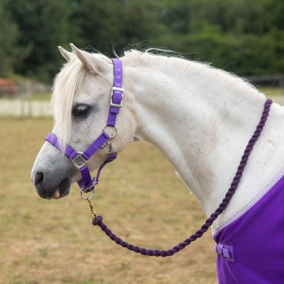 Gallop Premium Padded Heacollar and Leadrope Set- Various Colours
