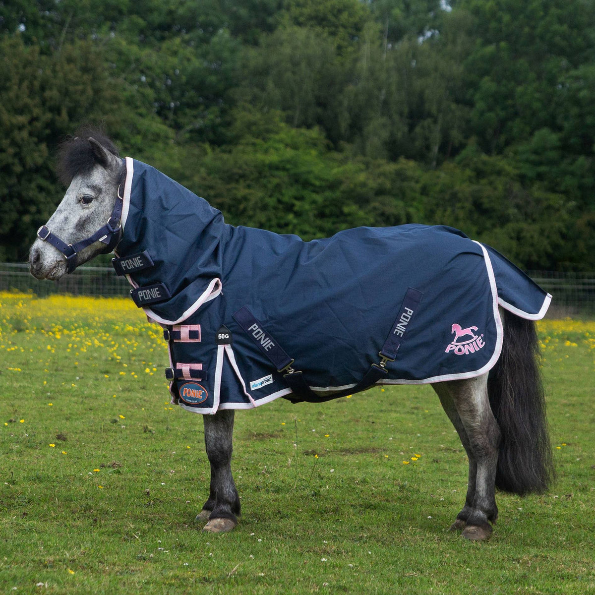 GALLOP-PONIE 50g Duraproof 600D Combo/Fixed Neck Turnout Rug
