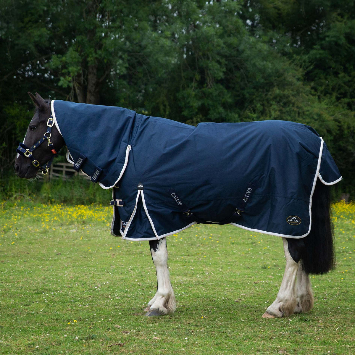 GALLOP TROJAN 100g Duraproof 600D Combo Turnout Rug