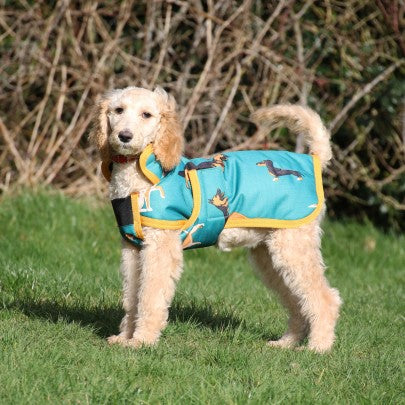 Dog Print Dog Coat