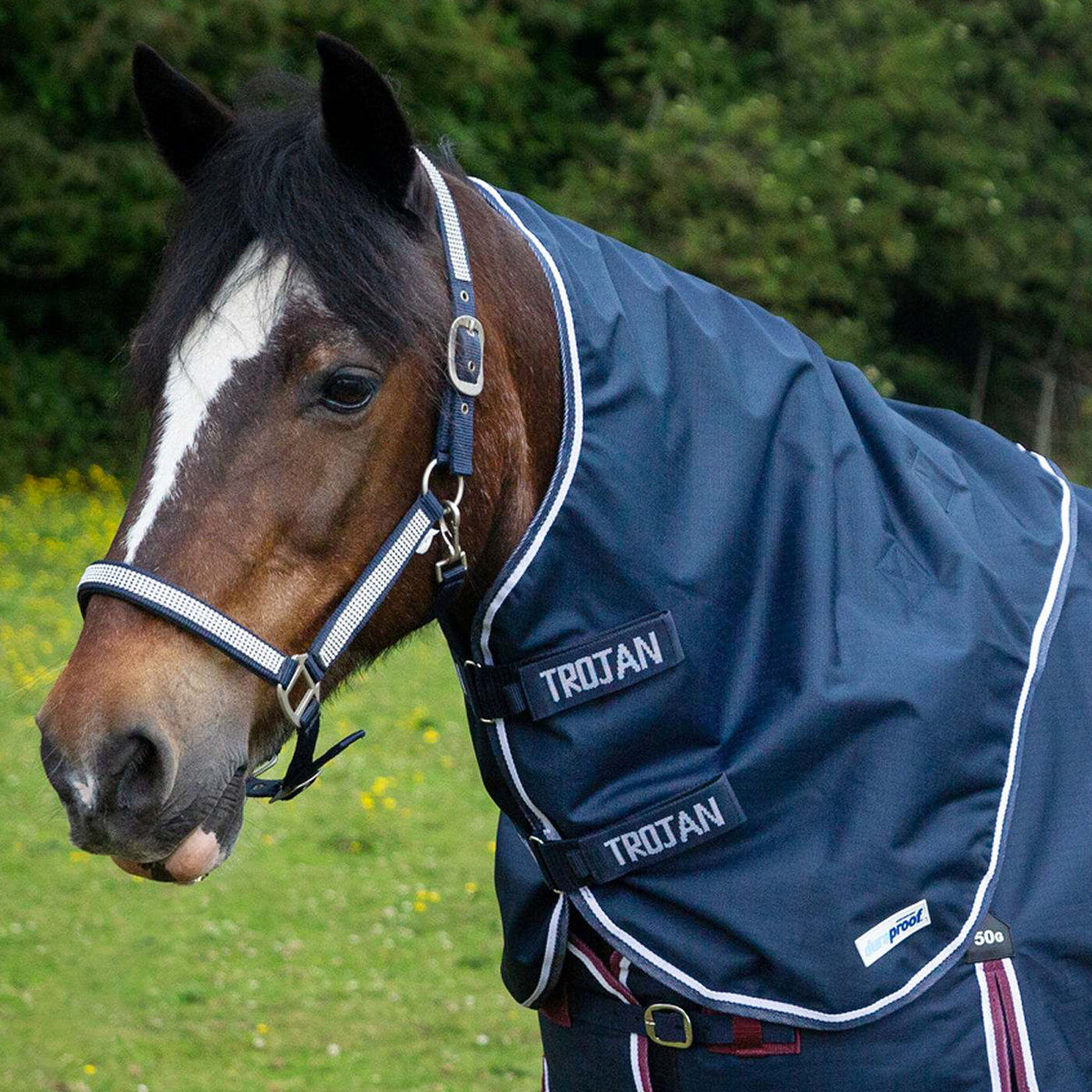 NEW GALLOP-TROJAN Duraproof 5-Point Lightweight Neck Cover