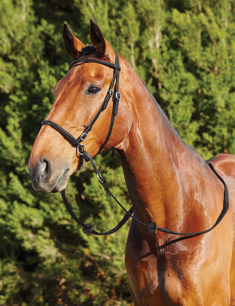 Dublin Bitless Bridle