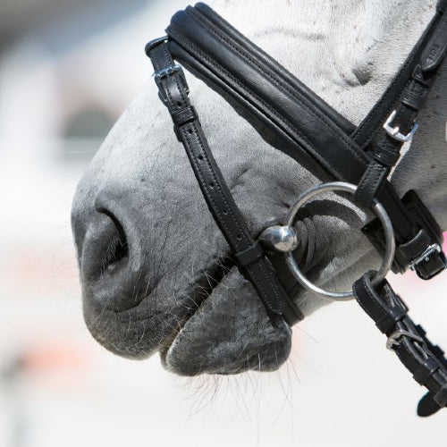 Kieffer Ultrasoft Economy Bridle