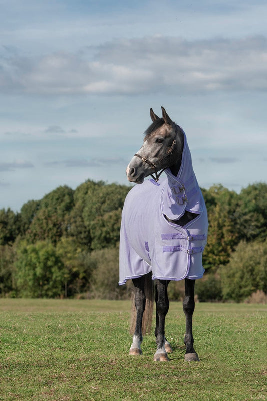 Swish Fleece Rug With Neck Cover - Violet