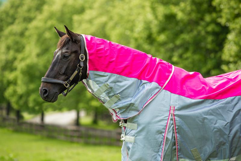 Swish Fly Turnout Combination Rug - Pink