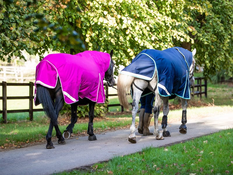 Swish 450g Ultimate Fixed Neck Turnout Rug - Mulberry