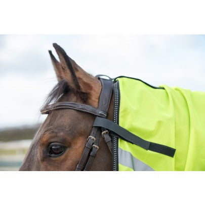 Gallop Ride-on Fly Mesh Rug & Neck Set