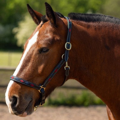 Gallop Diamond Padded Leather Headcollar