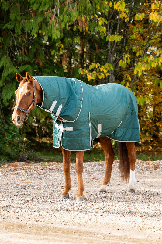 Swish 100g Stable Rug With Detachable Neck - Hunter Green