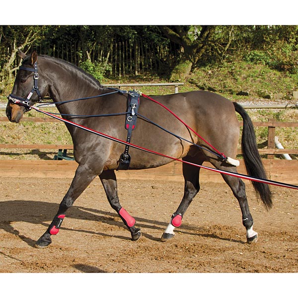 John Whitaker Training System & Roller Set