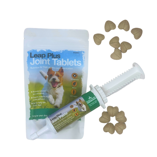 Leap Plus Joint paste 60ml - Global Herbs - Canine