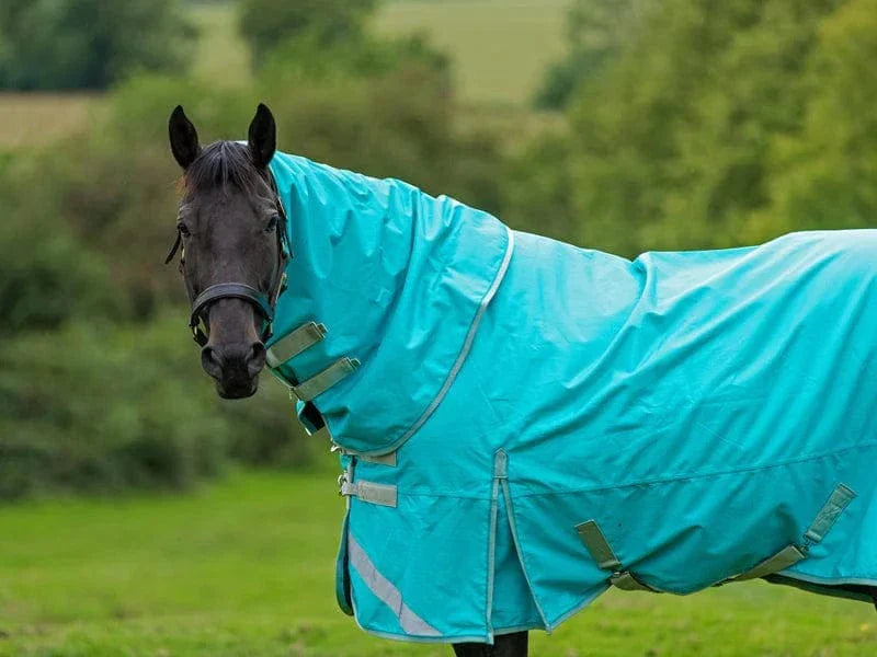 Swish 100g Detachable Neck Turnout Rug - Peppermint