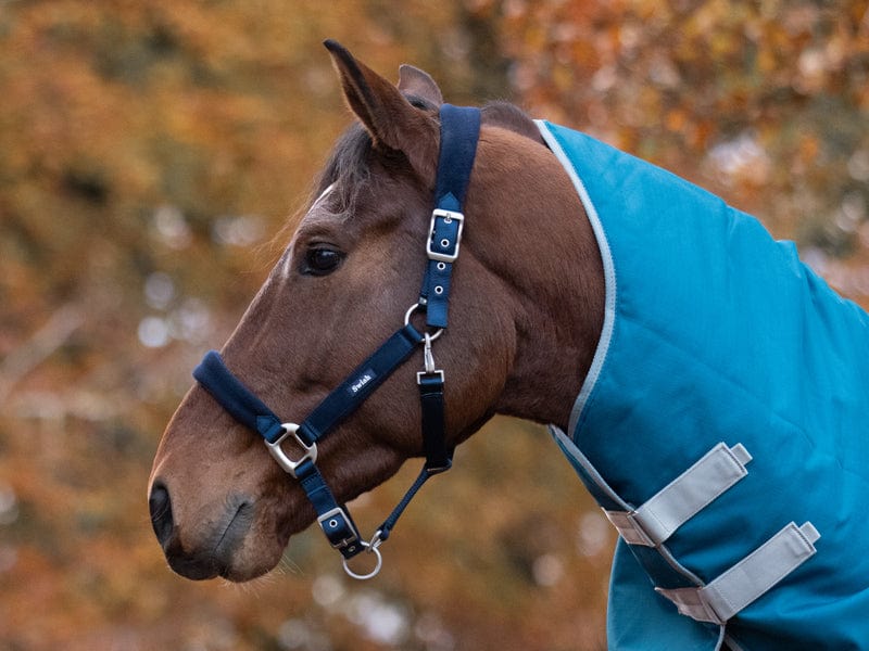 Swish Fleece Padded Head Collar - Navy