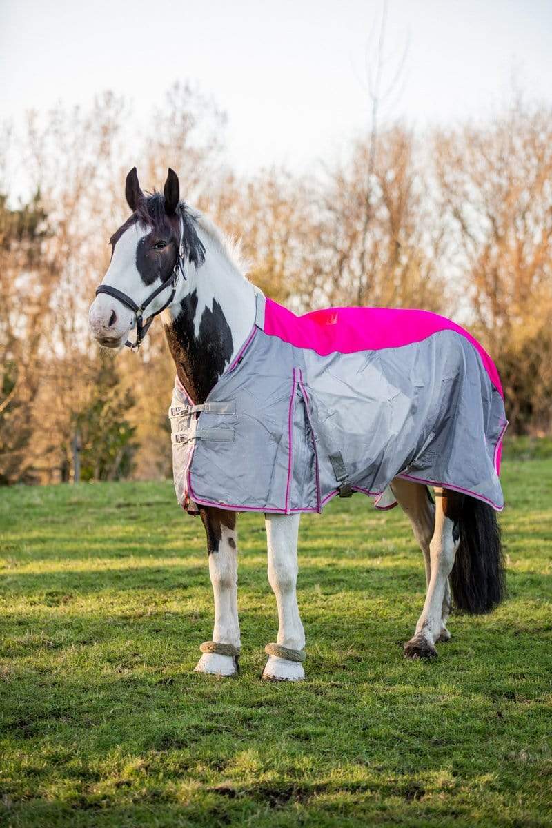 Swish Fly Turnout Combination Rug - Pink