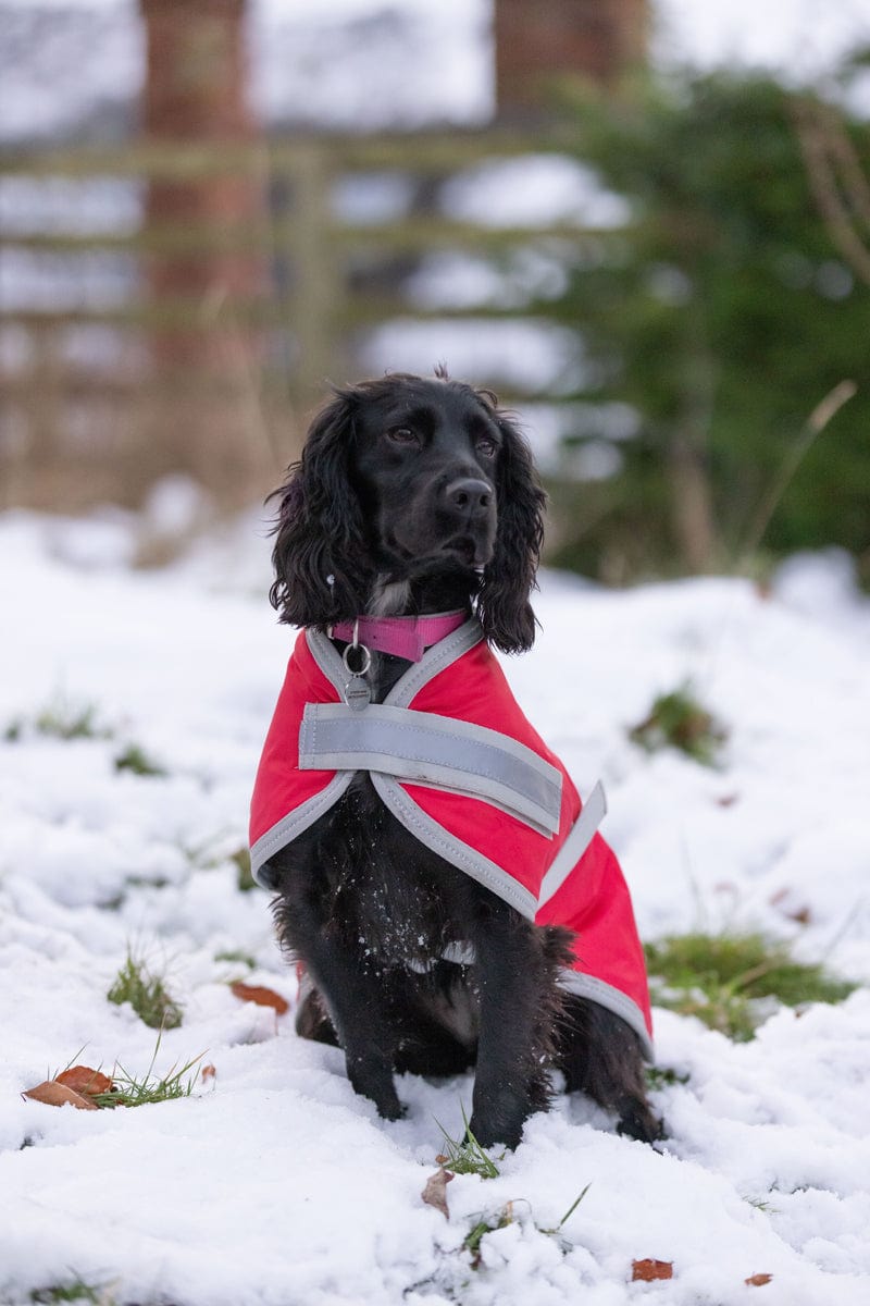 Swish Waterproof Dog Coat - Red