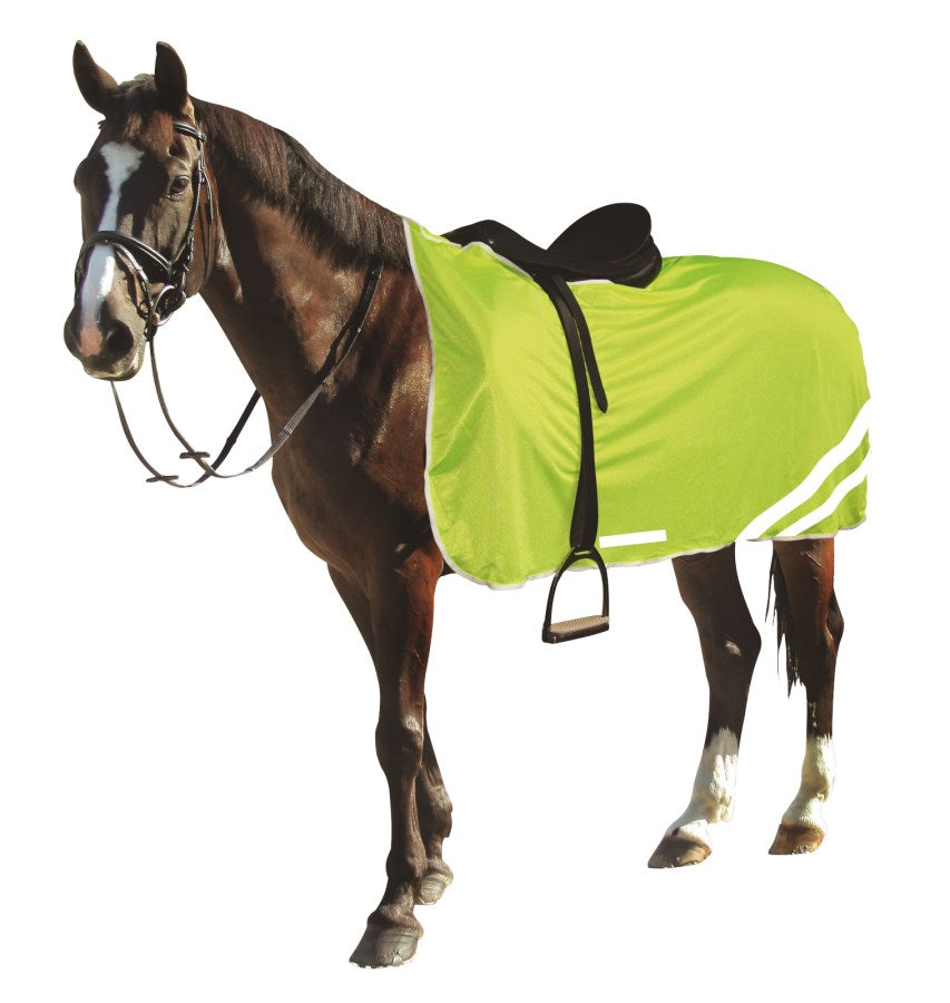 Covalliero Reflective Exercise Sheet