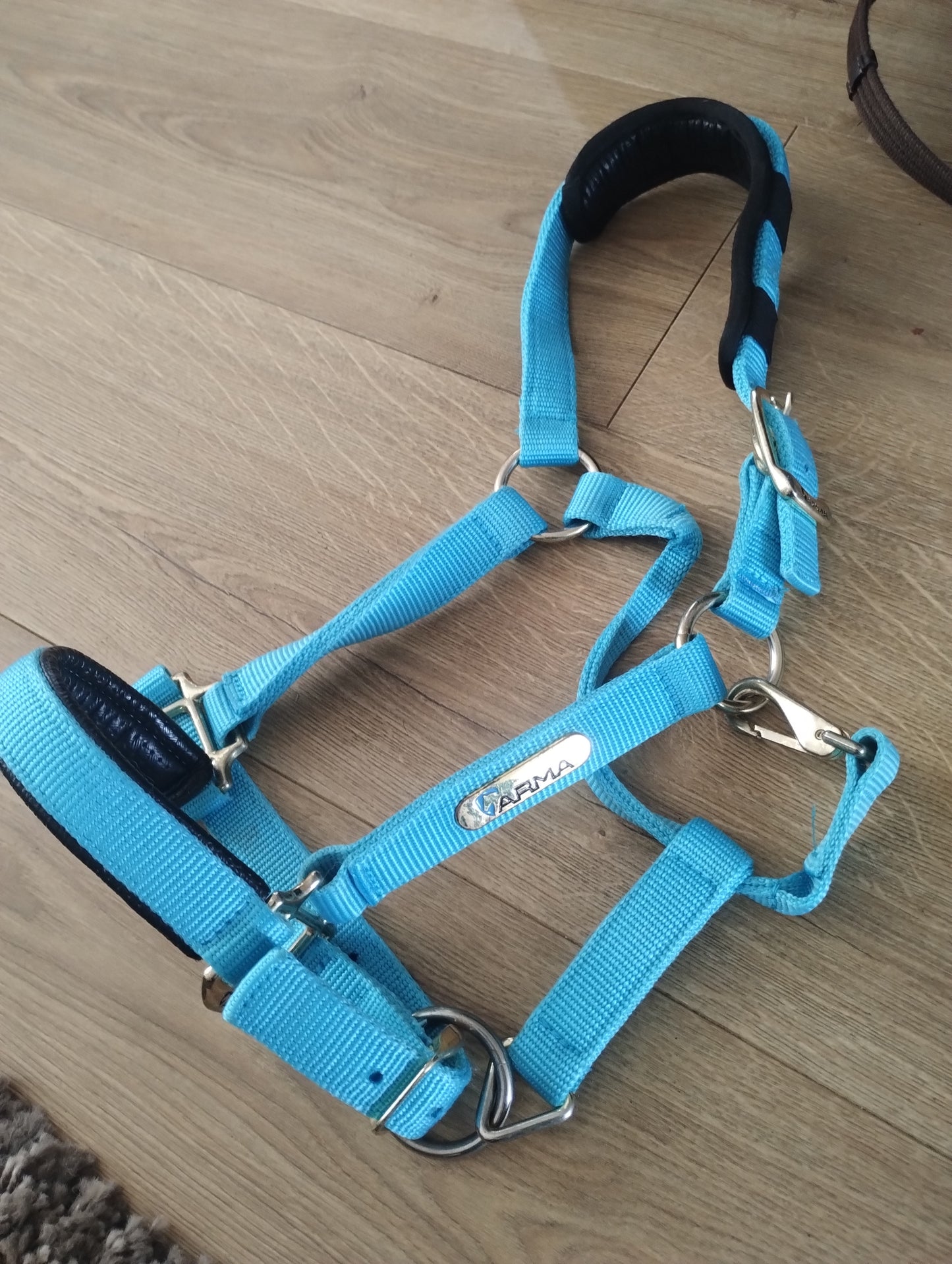 Pony/Cob Arma Headcollar