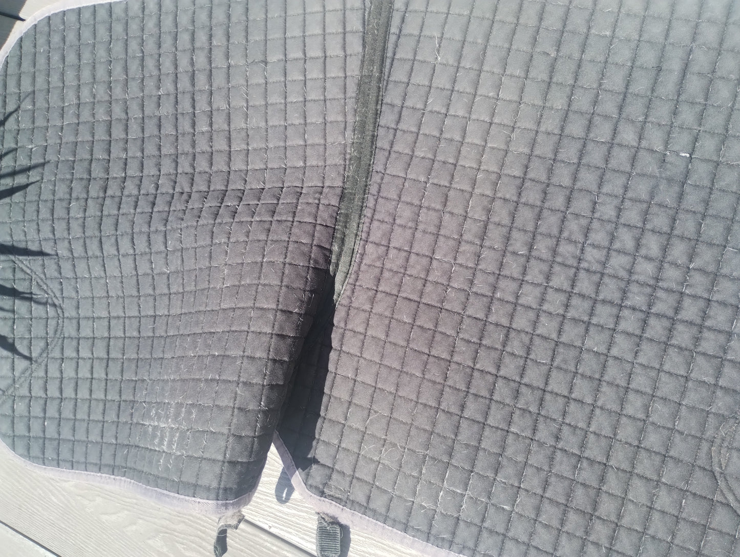 Large Lemieux saddle pad