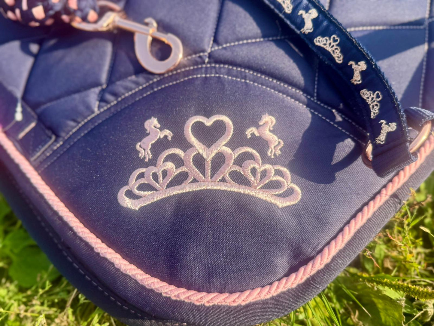 The Princess and The pony Bundle