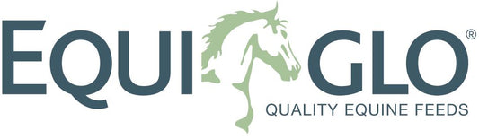 EquiGlo 1kg Minty Treats