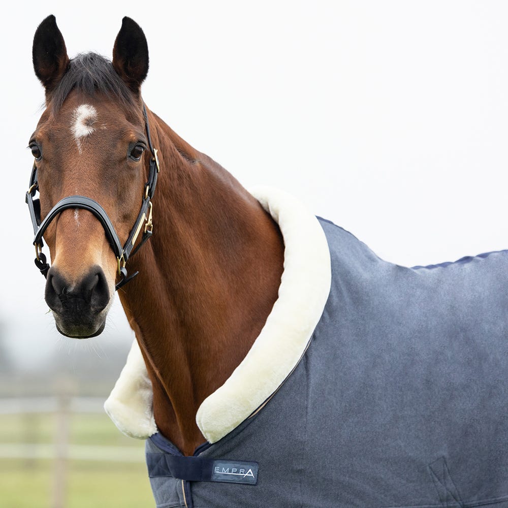 StormX Polar Fleece Rug