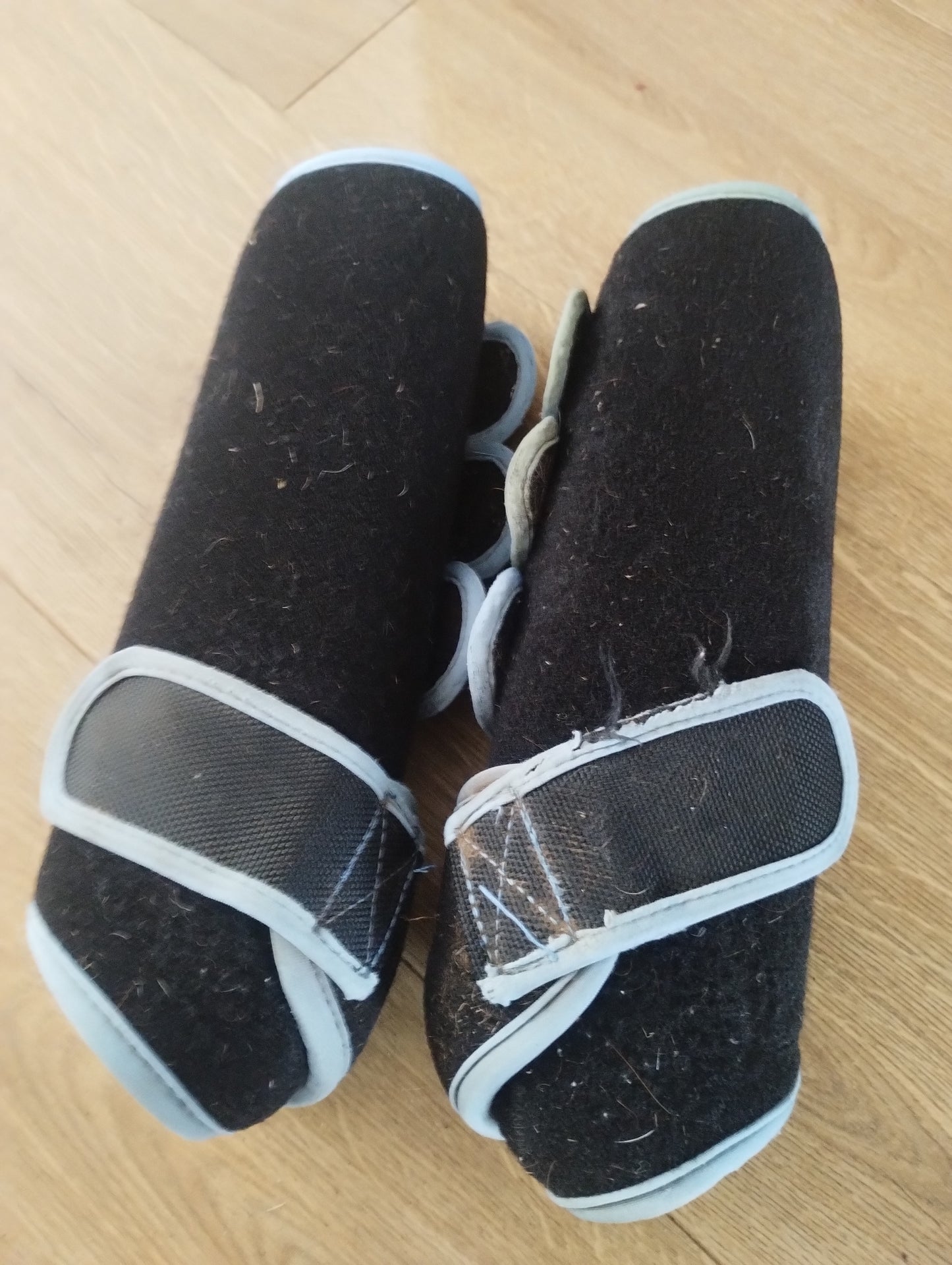 Medium Woof Wear Training wraps