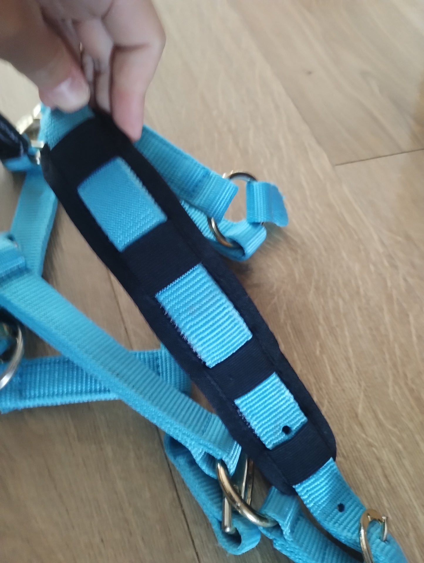 Pony/Cob Arma Headcollar