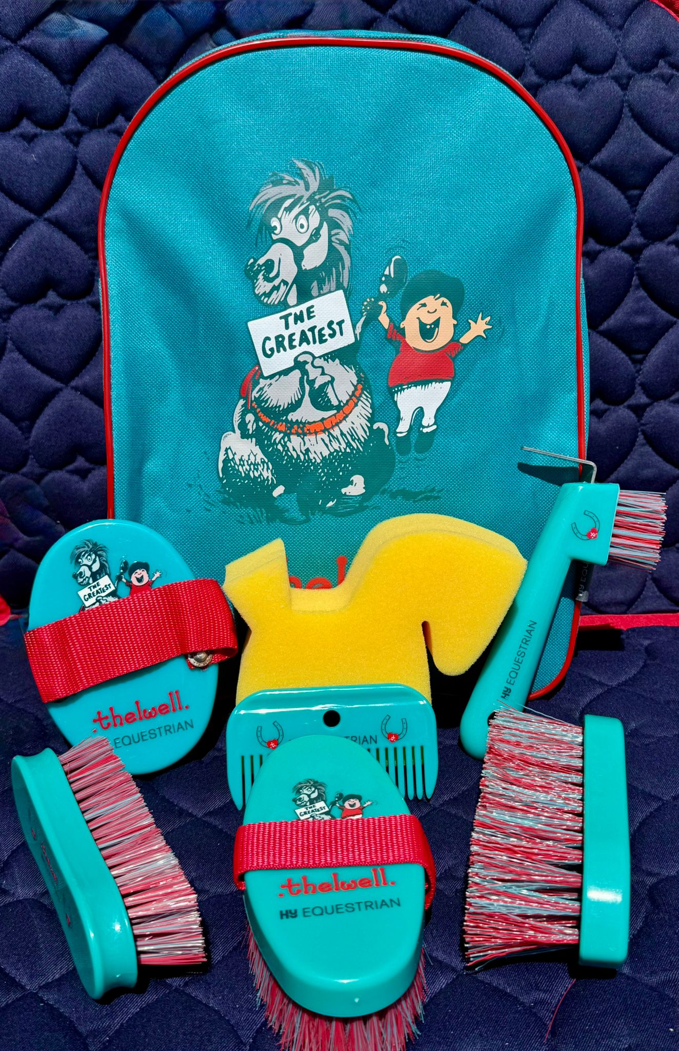 HY- Thelwell Complete Grooming Kit