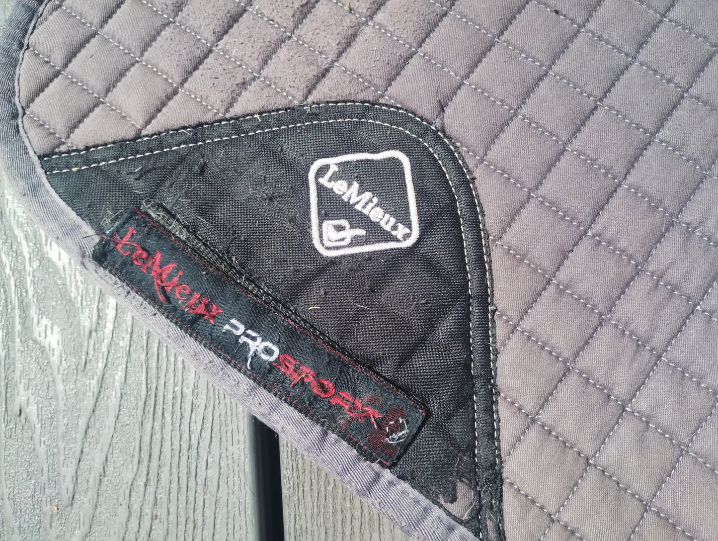 Large Lemieux saddle pad