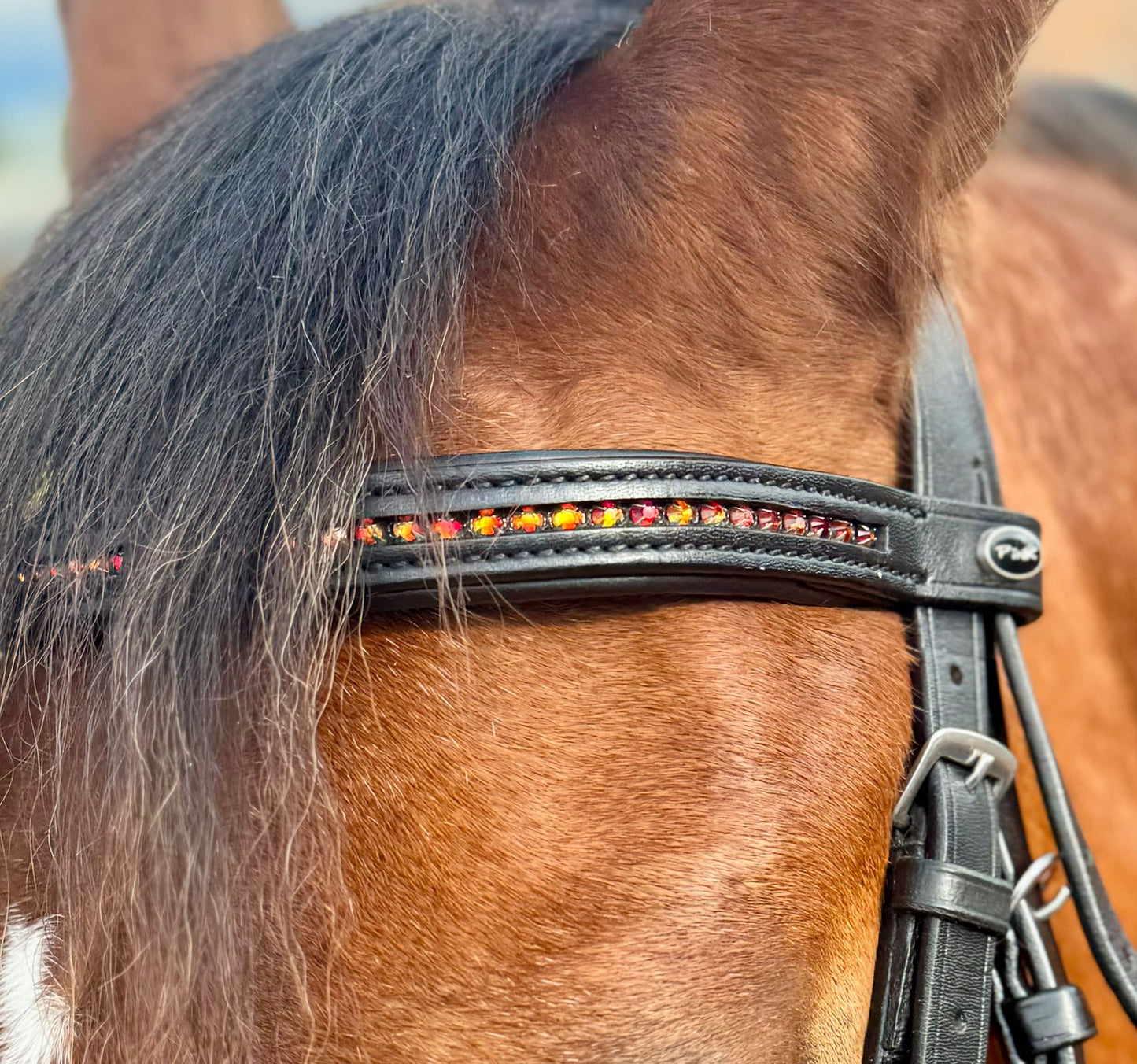 Pink Equine Black leather Bridle.