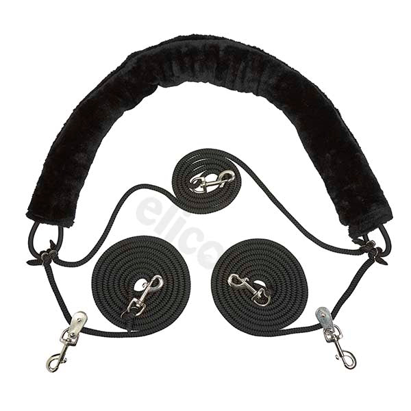 Elico Best of Horse Training System
