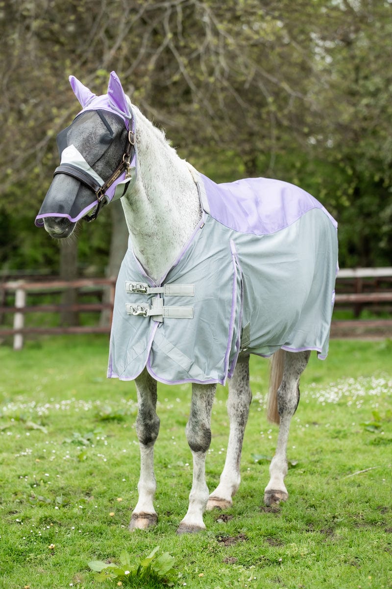 Swish Fly Turnout Combination Rug (NYLON) - Violet