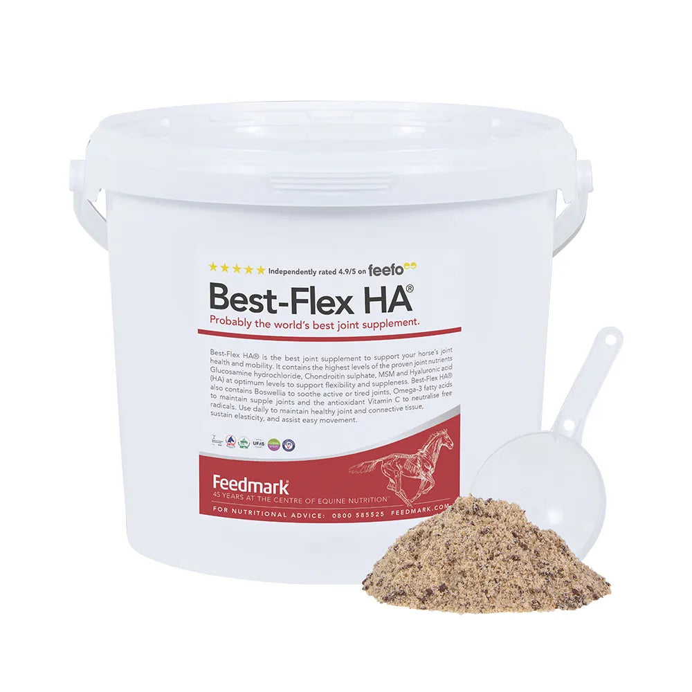 Horse Feed Supplements