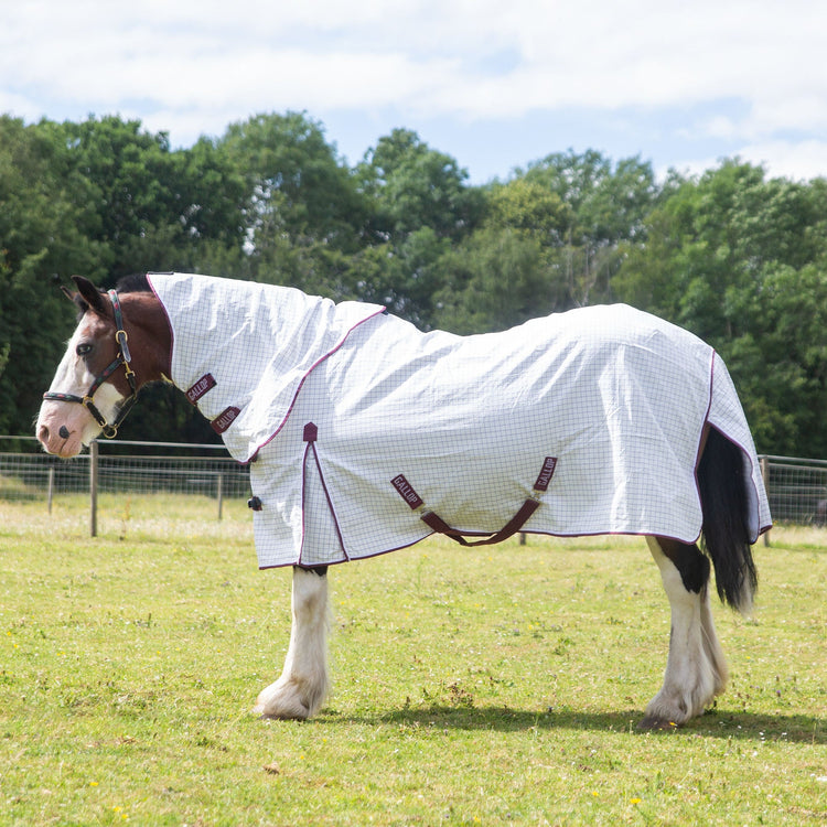 Trojan Coolers/Fleece/Sheets