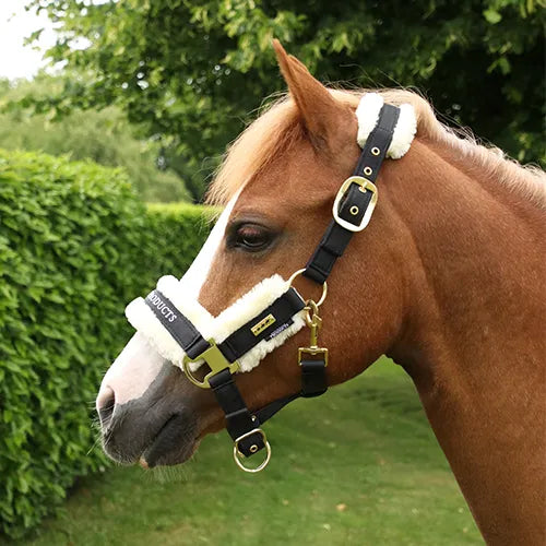 Head Collars & Leadropes