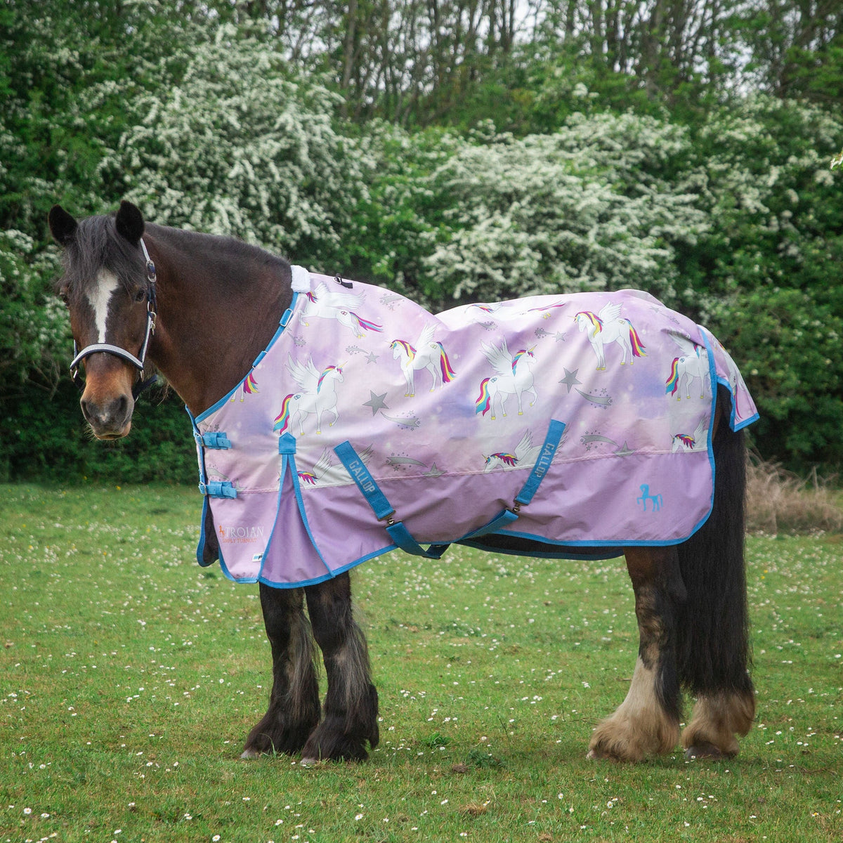 Turnout Rugs