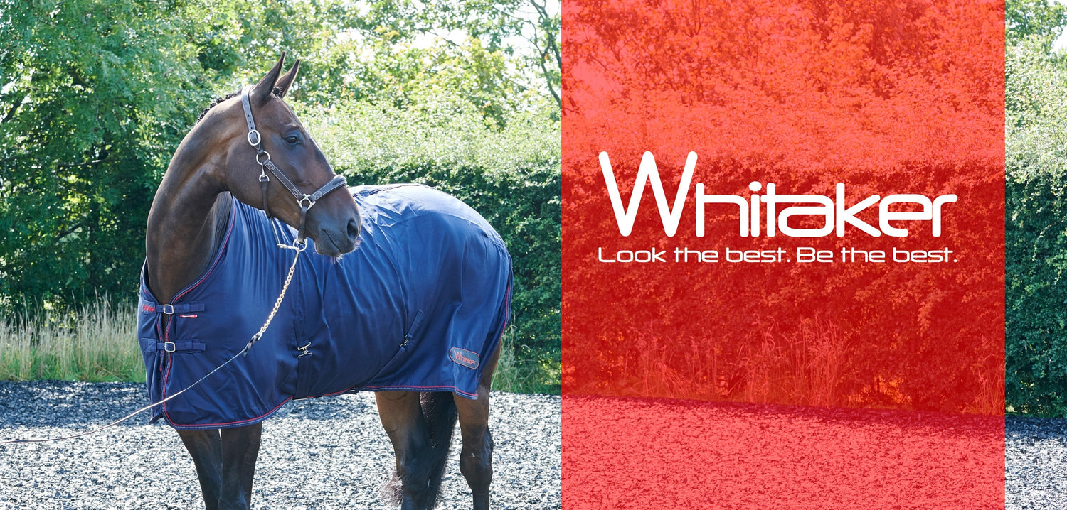 Whitaker