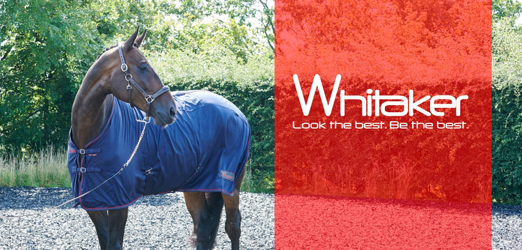 Whitaker