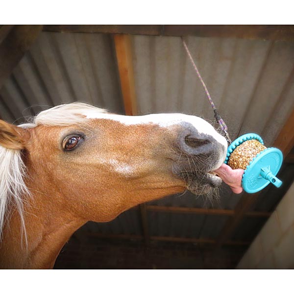 Stable Toys & Boredom Breakers