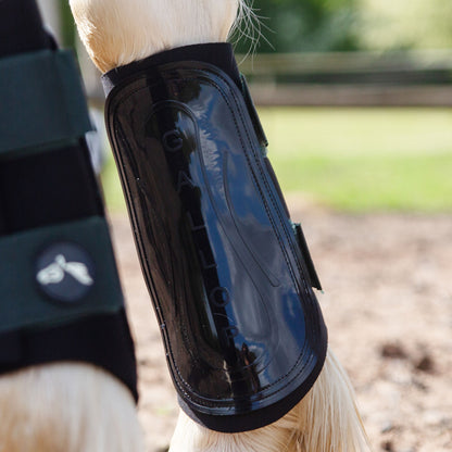 NEW GALLOP GP Brushing Boots