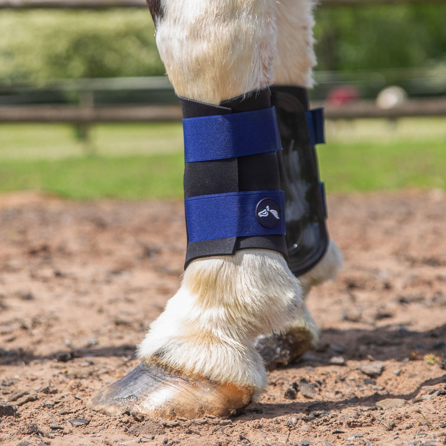 NEW GALLOP GP Brushing Boots