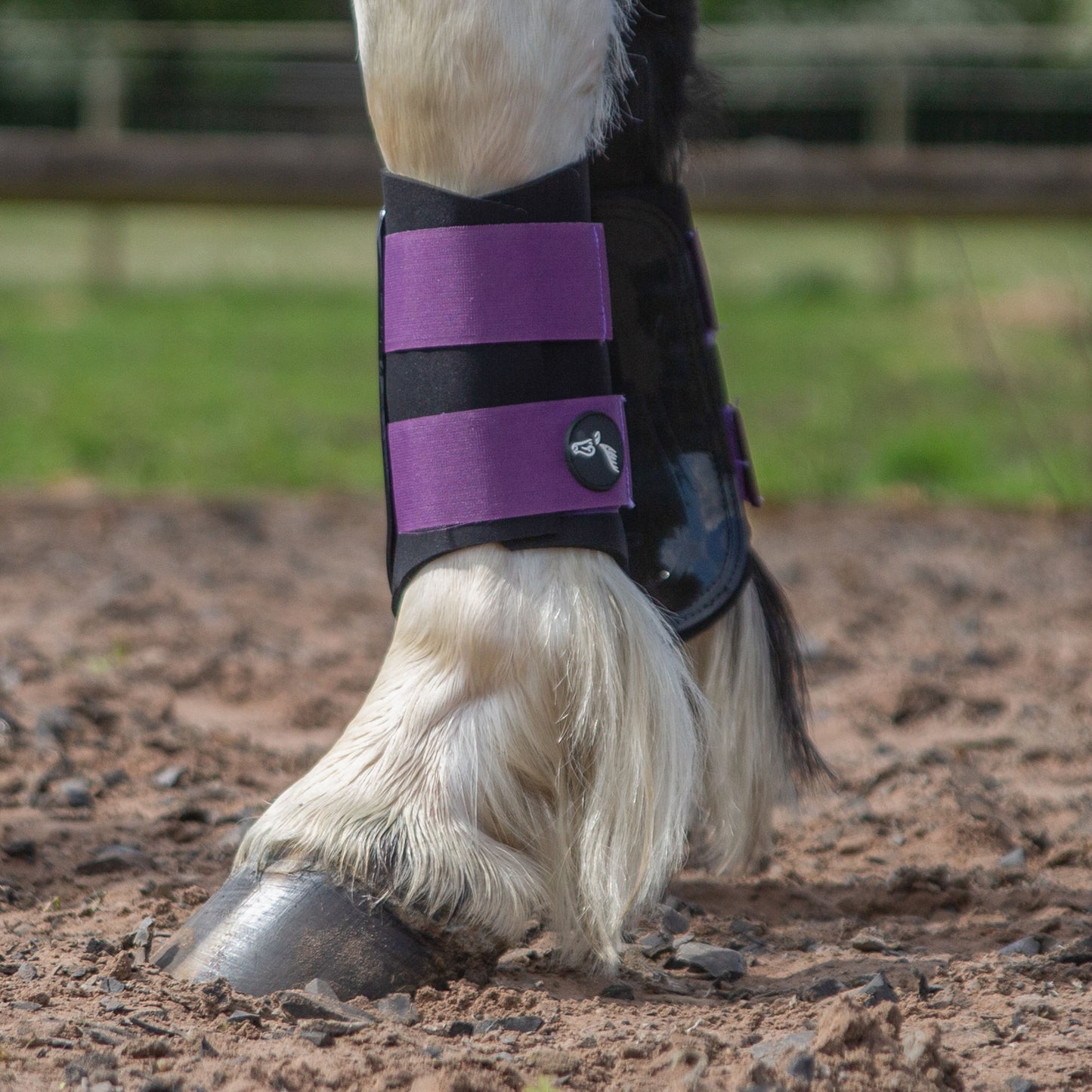 NEW GALLOP GP Brushing Boots