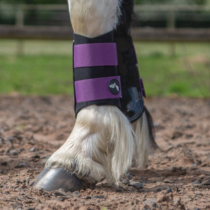 NEW GALLOP GP Brushing Boots