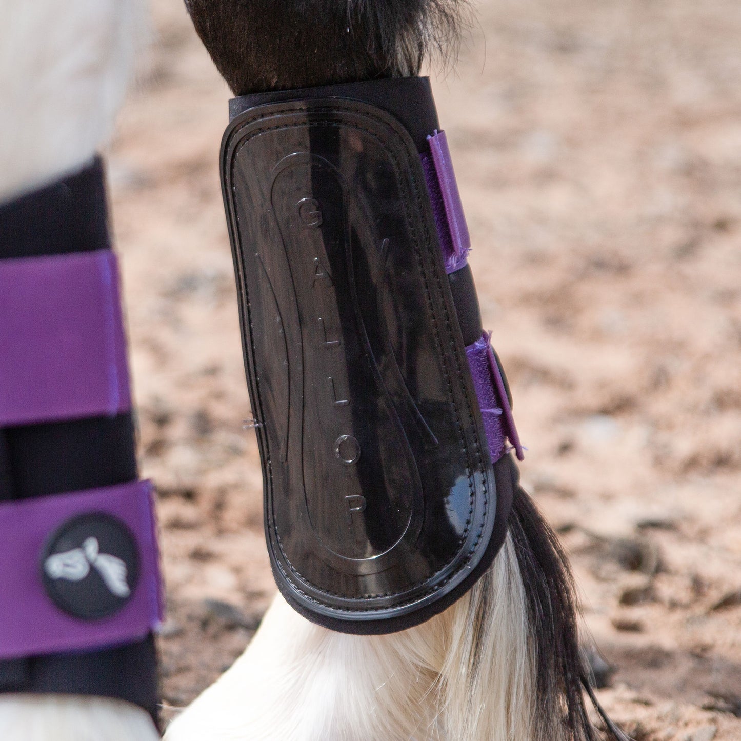 NEW GALLOP GP Brushing Boots