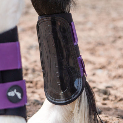 NEW GALLOP GP Brushing Boots