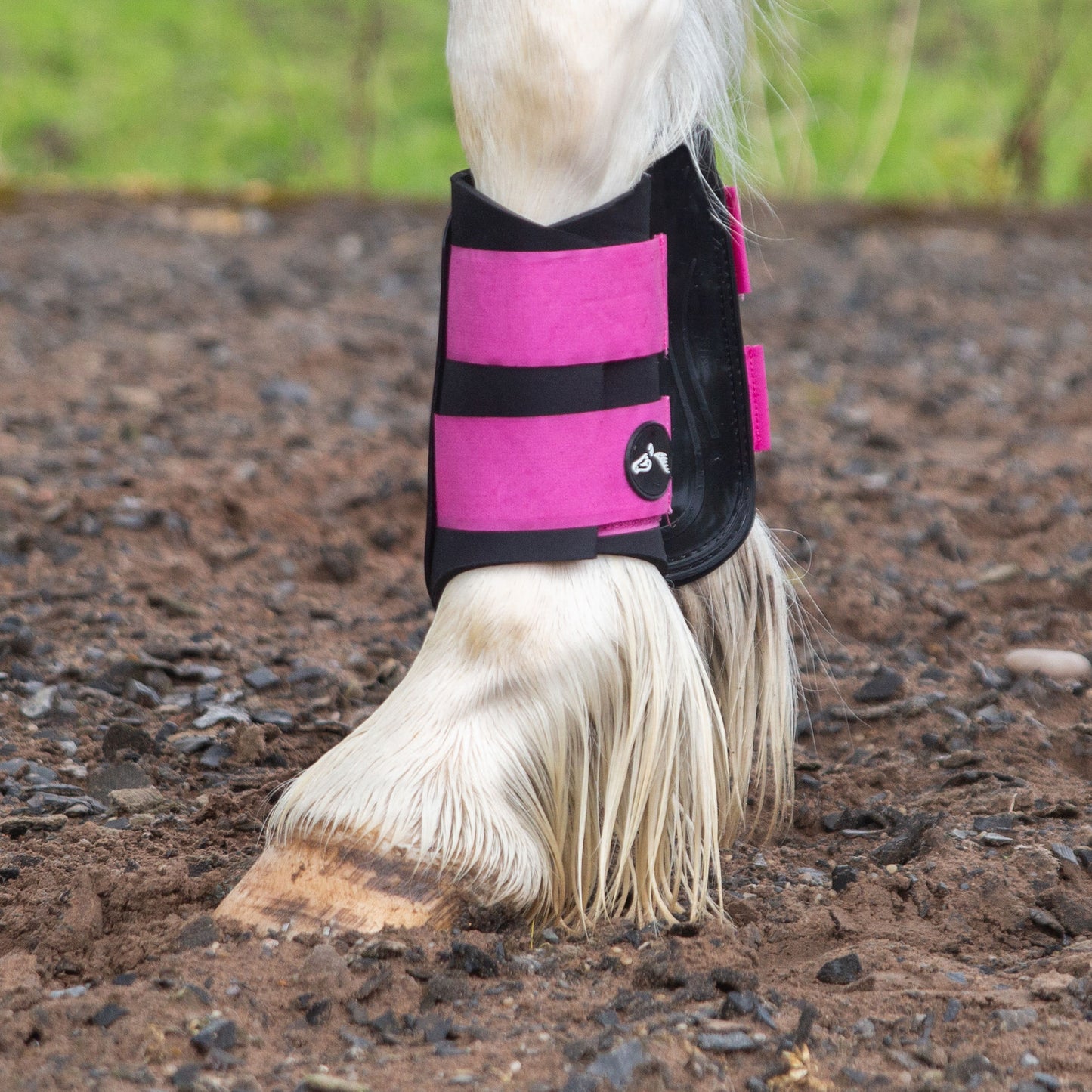 NEW GALLOP GP Brushing Boots