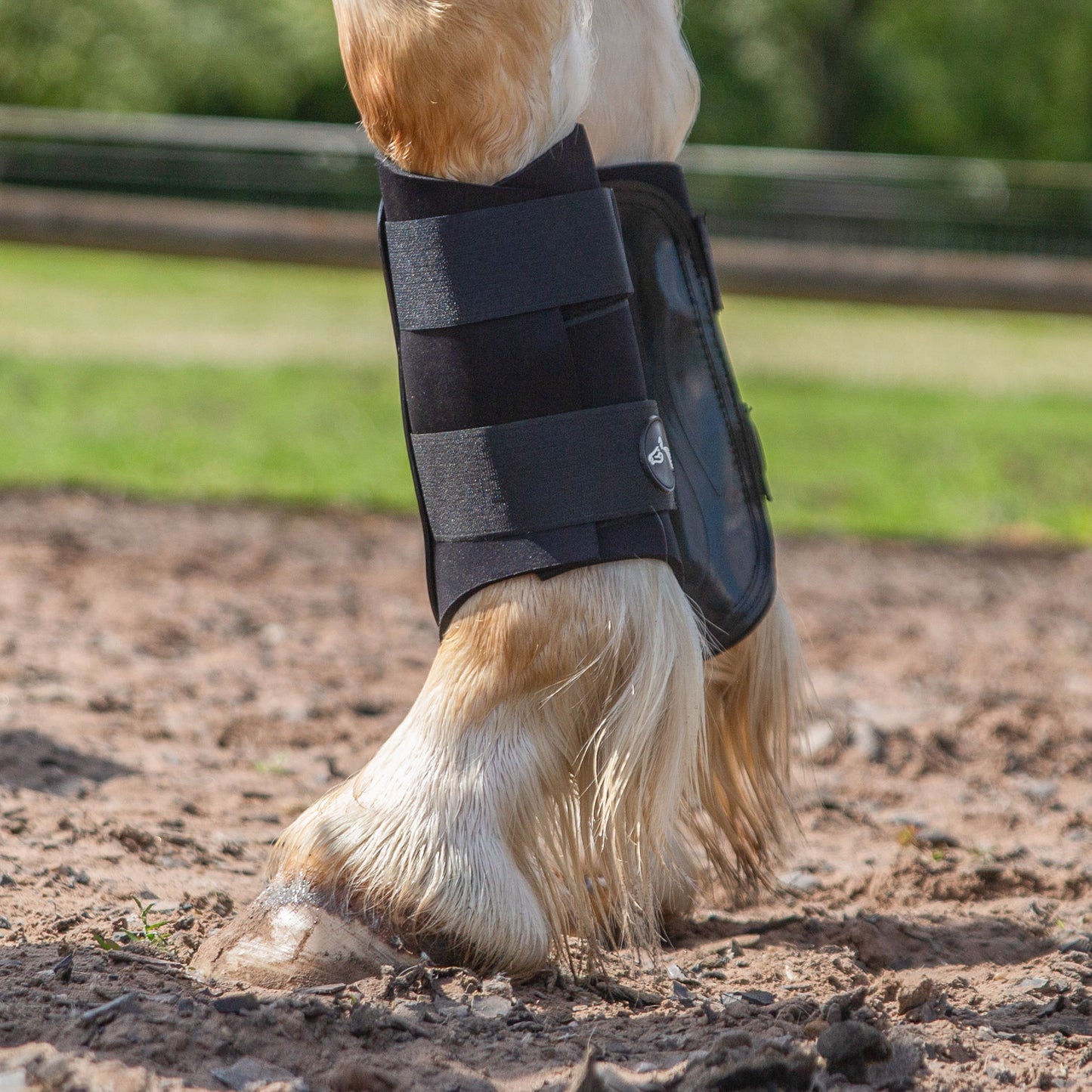 NEW GALLOP GP Brushing Boots