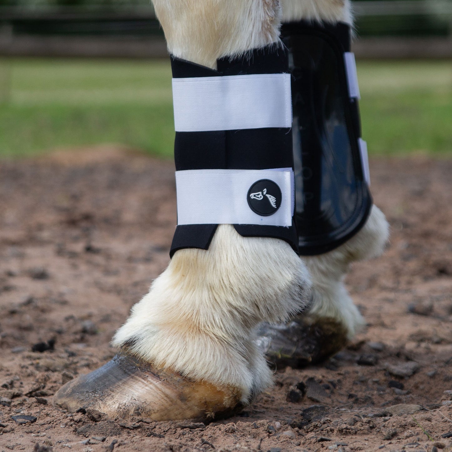NEW GALLOP GP Brushing Boots